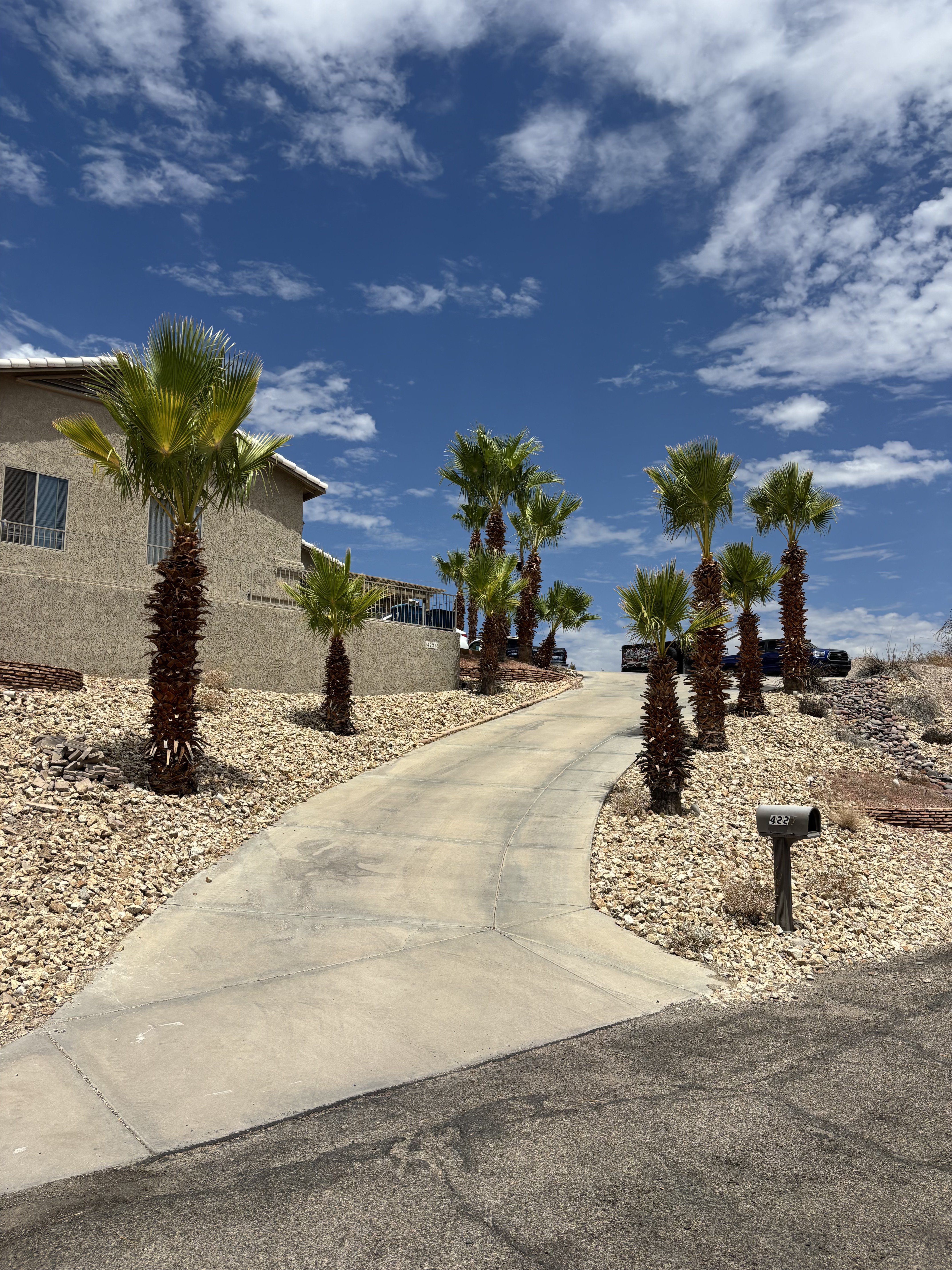 Front yard landscaping